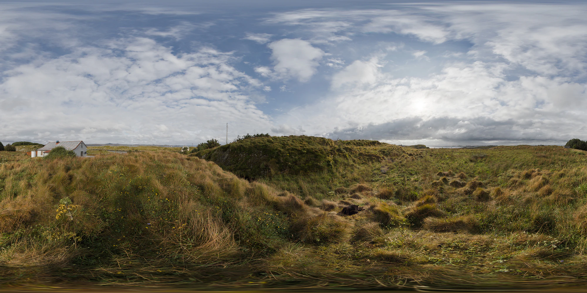 sognfields 01 2014 — Скачать