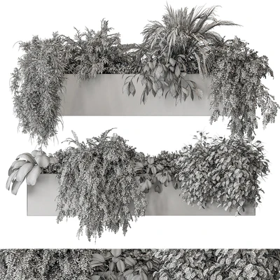 indoor Plant Set 297 - Hanging Plants — Ver 2