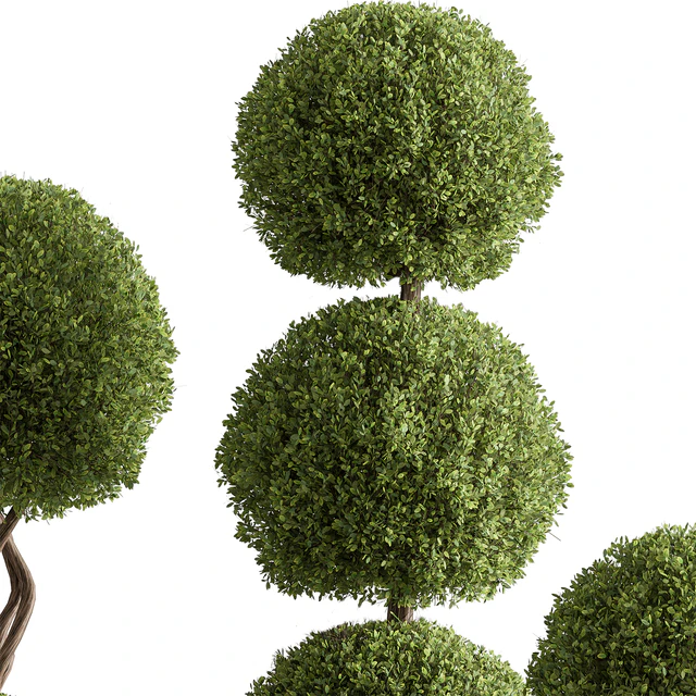 Indoor Plant 637 -Topiary Ball — Descargar