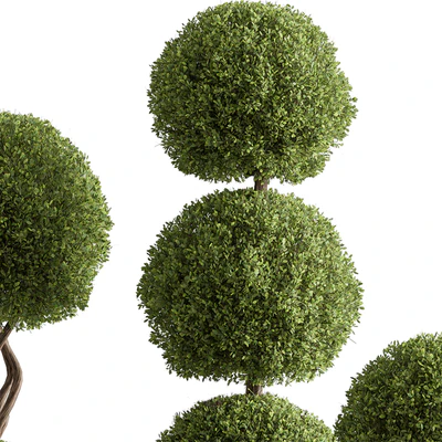 Indoor Plant 637 -Topiary Ball — Ver 2