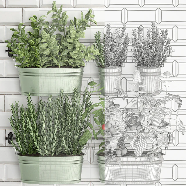 Plant Collection 384. Kitchen garden, kitchen garden, kitchen apron, tiles, vegetables, herbs, tomatoes, rosemary, basil, railing — Descargar