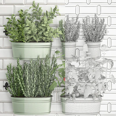 Plant Collection 384. Kitchen garden, kitchen garden, kitchen apron, tiles, vegetables, herbs, tomatoes, rosemary, basil, railing — Ver 2