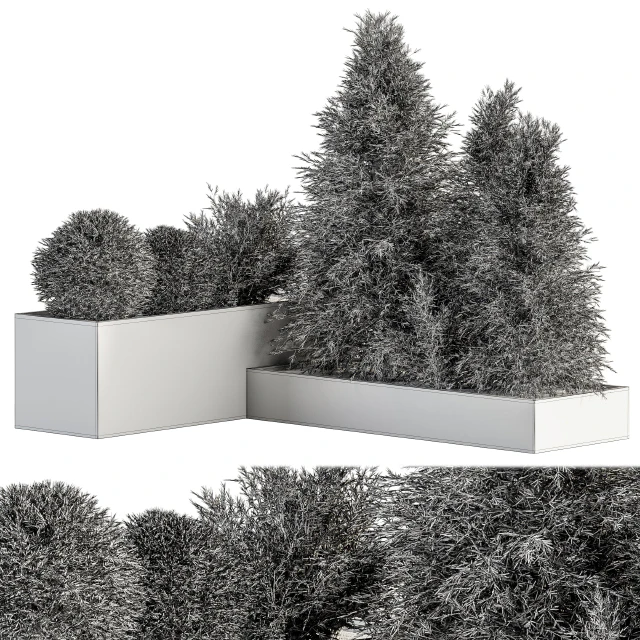 Outdoor Plant Set 231 - Plant Box with Tree — Descargar