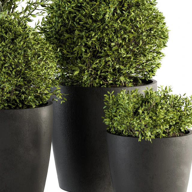 Outdoor Plant Set 209 - Plant and Tree in Pot — Скачать