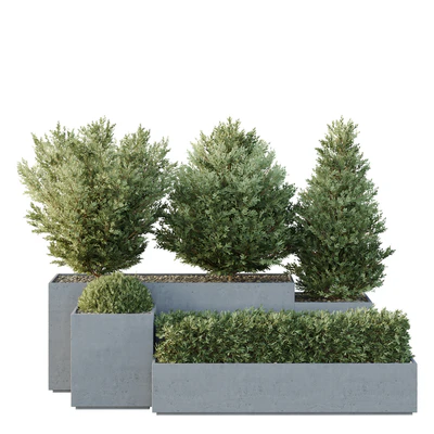 HQ Tree and bush garden box outdoor VOL 27 — Ver 1