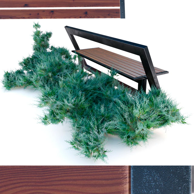 bench with juniper — Скачать