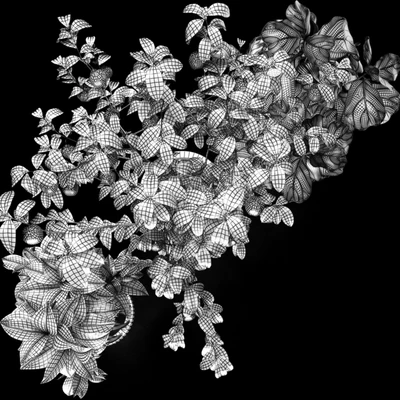 Plants set 5 (Croton, Ficus, Limon) — Вид 3