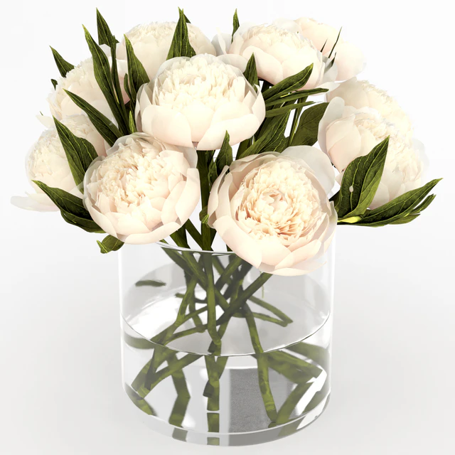 Bouquet of peonies — Descargar