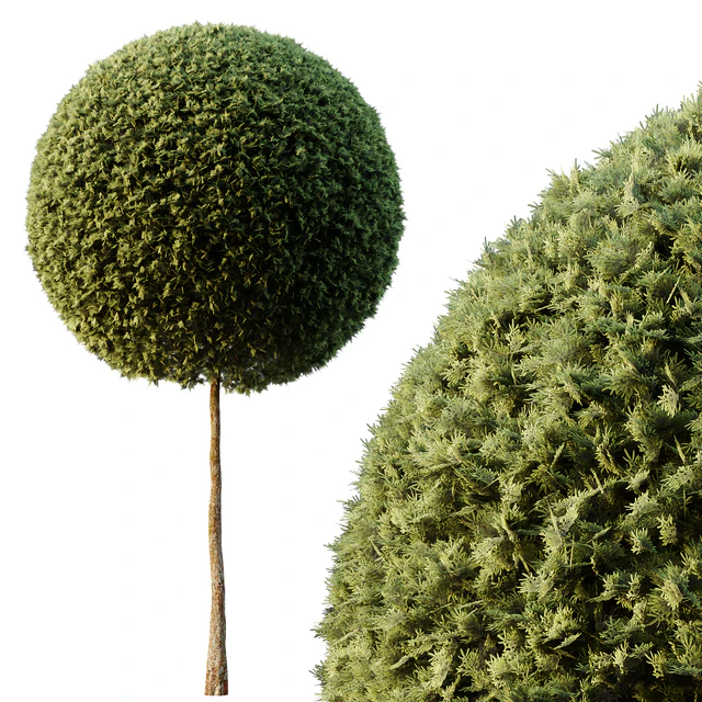 Spherical tree03 — Download