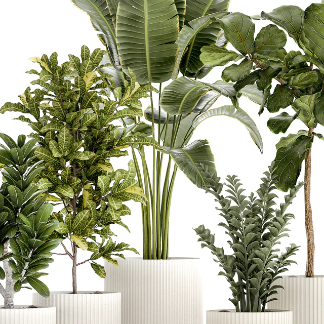 Plant collection 1407 — Descargar