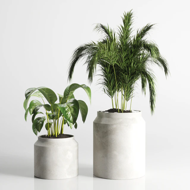collection Indoor plant 33-concrate vase — Descargar
