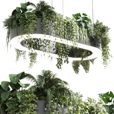 pot light - pendant plant light hanging 06 corona — Ver 1