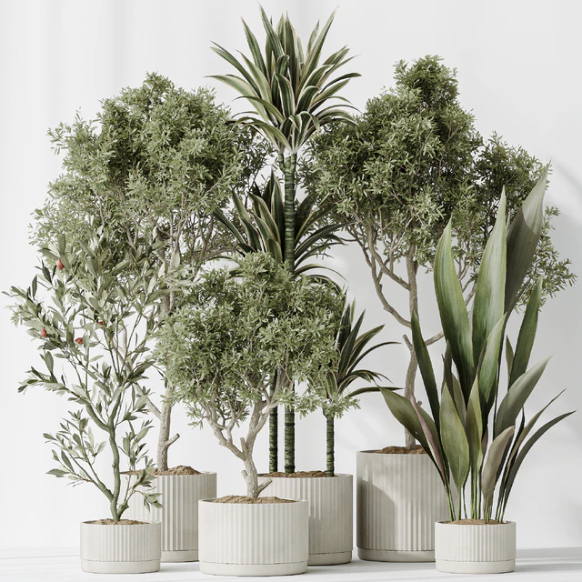 Indoor plants set 63 — Descargar