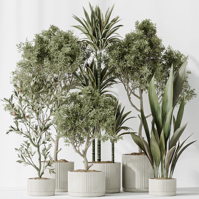 Indoor plants set 63 — Ver 3
