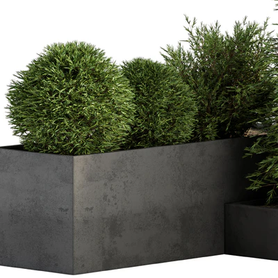 Outdoor Plant Set 231 - Plant Box with Tree — Ver 3