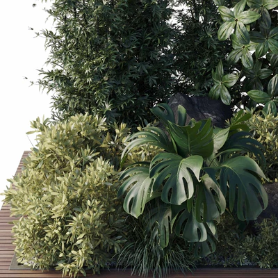 Collection outdoor indoor 101 pot plant — Вид 2