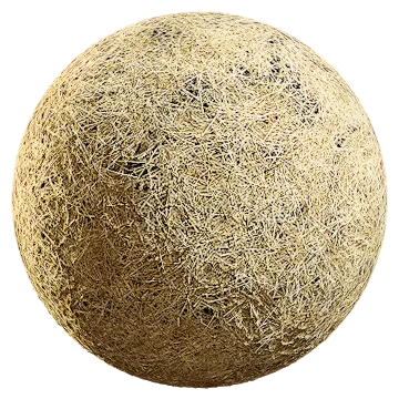 thick dry grass 001 — Download