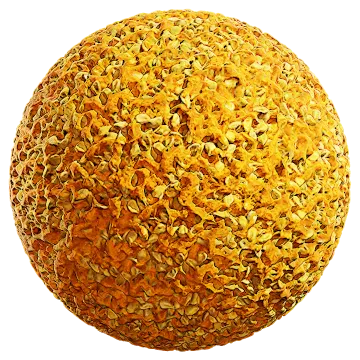 fruit seeds pumpkin 001 — Скачать