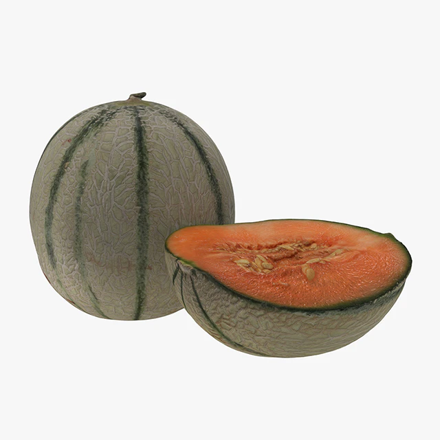 Melon — Descargar