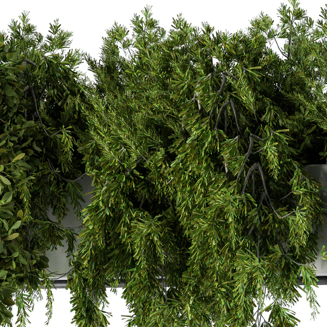 Hanging box plant - Set 70 — Descargar