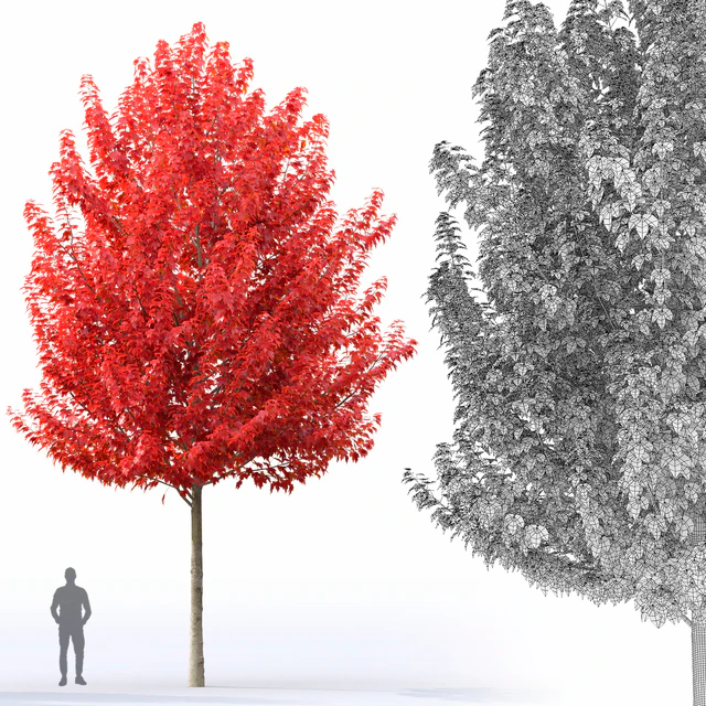 Acer — Descargar