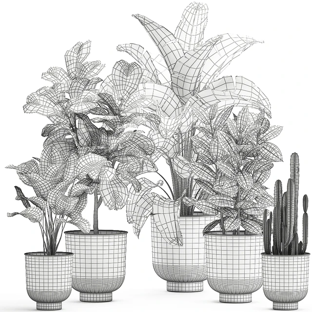 Collection of plants in white pots with banana palm, ficus tree, Strelitzia. Set 906. — Descargar
