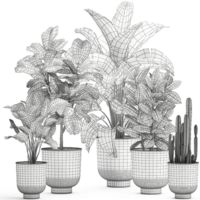 Collection of plants in white pots with banana palm, ficus tree, Strelitzia. Set 906. — Ver 2