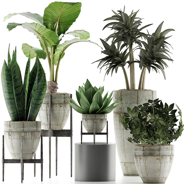 Plants Collection 37 — Descargar