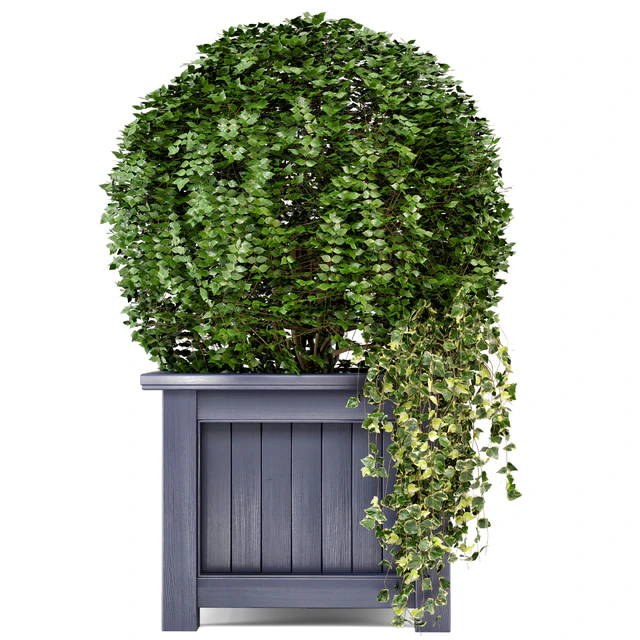 Outdoor Plants in Wooden Pot - Set 34 — Скачать