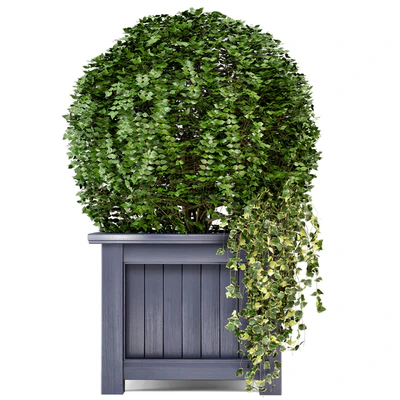 Outdoor Plants in Wooden Pot - Set 34 — Вид 2