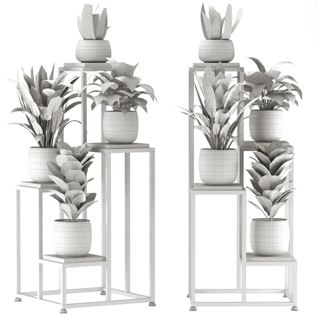 Collection Indoor Plants Nim08 — Скачать