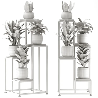 Collection Indoor Plants Nim08 — Вид 3