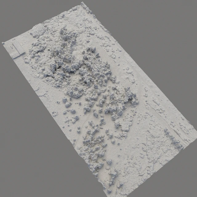 Forest 75 — Download