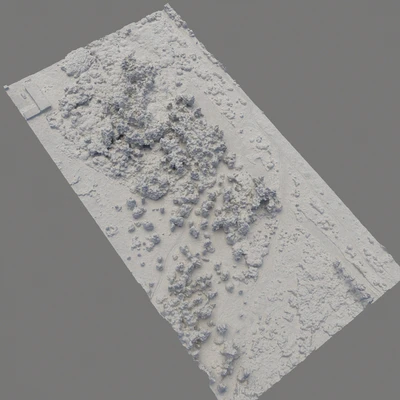 Forest 75 — View 3