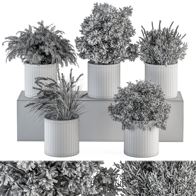 indoor Plant Set 305 - Small Plant pot — Descargar