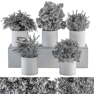 indoor Plant Set 305 - Small Plant pot — Ver 3