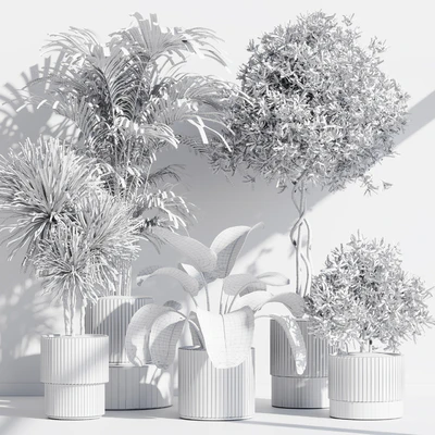 indoor plant set 71 — Вид 3