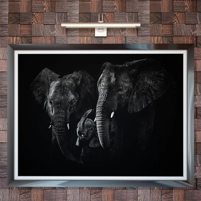 Paintings set 01 & Picture lamp paulmann — Вид 1