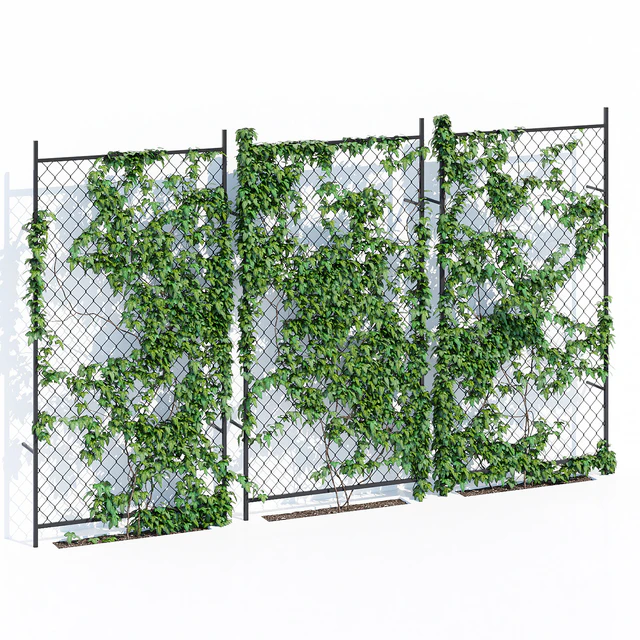 Ivy wall two — Descargar
