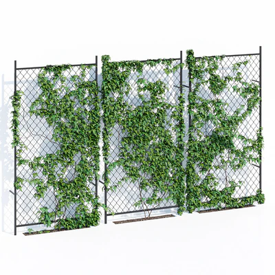 Ivy wall two — Ver 1