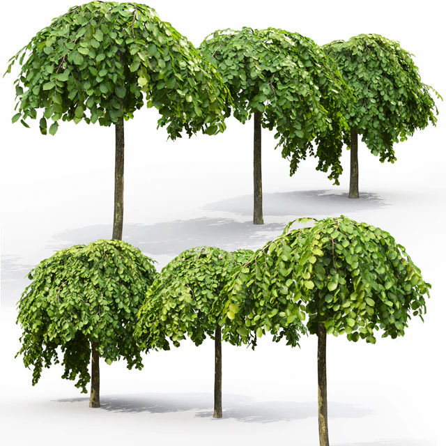 Elm — Скачать