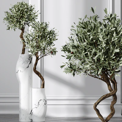HQ Plants Mission Olive Tree Indoor Vase Set003 — View 2