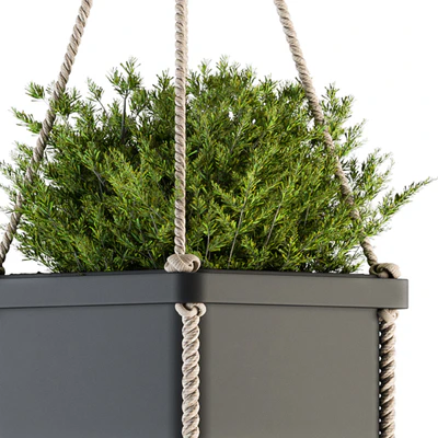 Hanging pot with Rope - indoor Plants 164 — Ver 2