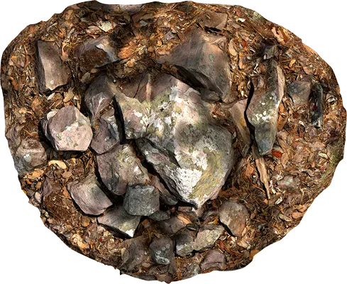 lichened rocky ground 004 — Скачать