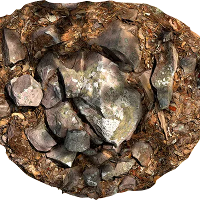 lichened rocky ground 004 — Скачать