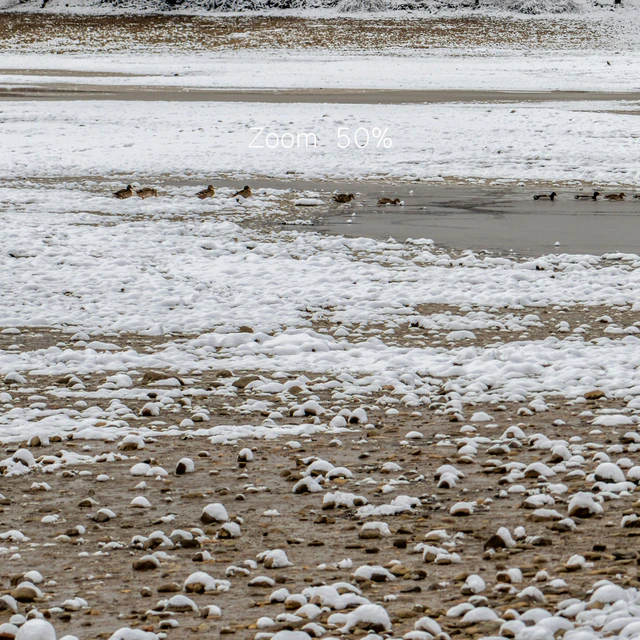 Panorama of the park with a lake and snow-covered trees. 45k — Download