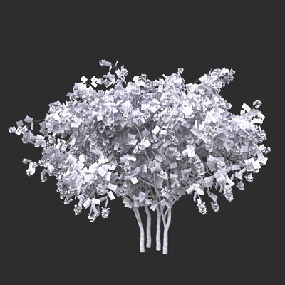 Philadelphus (shrub) — Ver 2