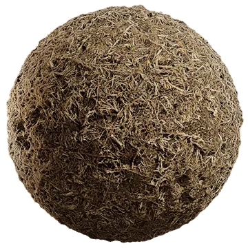 grass dried 024 — Скачать