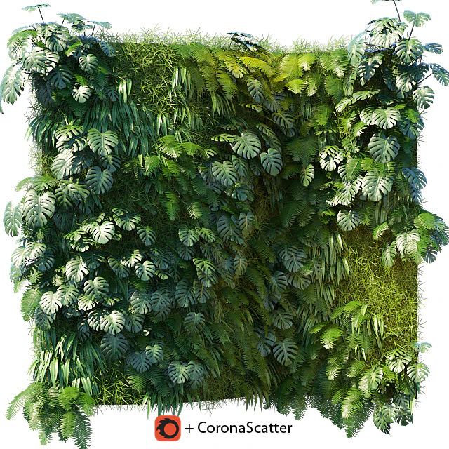 Phytowall 1 — Descargar
