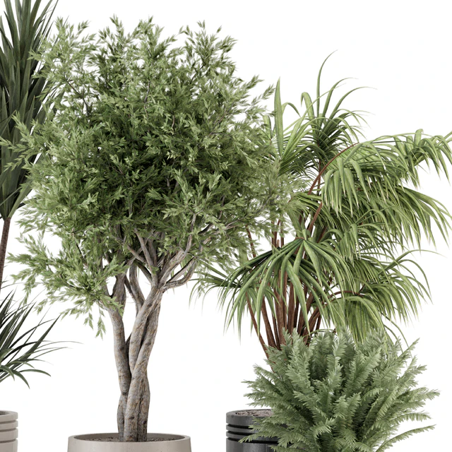 Indoor Plants in Ferm Living Bau Pot Large - Set 817 — Скачать